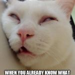 Bored Kitty | WHEN YOU ALREADY KNOW WHAT THE OTHER PERSON IS GOING TO SAY BEFORE THEY'RE DONE SPEAKING | image tagged in bored kitty | made w/ Imgflip meme maker