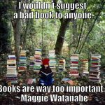 Books are way too important. | I wouldn't suggest a bad book to anyone. Books are way too important. ~Maggie Watanabe | image tagged in the tangled red thread,elle cuardaigh,maggie watanabe | made w/ Imgflip meme maker