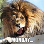 Lion | MONDAY... | image tagged in lion | made w/ Imgflip meme maker
