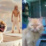 My Life Of Pi