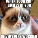 stop looking at the title | WHEN YOUR CAT SMILES AT YOU BE VERY VERY WORRIED | image tagged in grumpy smile,memes | made w/ Imgflip meme maker