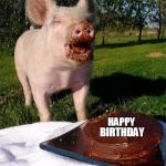 Happy Birthday Pig | HAPPY BIRTHDAY | image tagged in happy birthday pig | made w/ Imgflip meme maker
