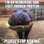 Hippo vegan | I'M AN HERBIVORE AND I GET ENOUGH PROTEIN PLEASE STOP ASKING | image tagged in hippo vegan | made w/ Imgflip meme maker