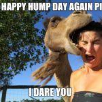 happy hump da....aaayum bruh | SAY HAPPY HUMP DAY AGAIN PINKY I DARE YOU | image tagged in hump day | made w/ Imgflip meme maker