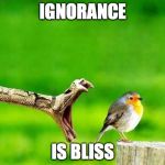 Never Saw It Coming | IGNORANCE IS BLISS | image tagged in never saw it coming | made w/ Imgflip meme maker