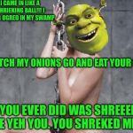 Miley Cyrus Shrek | I CAME IN LIKE A SHRIEKING BALL!!! I NEVER OGRED IN MY SWAMP WATCH MY ONIONS GO AND EAT YOUR MOM ALL YOU EVER DID WAS SHREEEEEK ME YEH YOU.  | image tagged in miley cyrus shrek | made w/ Imgflip meme maker