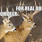 Deer Puns meme