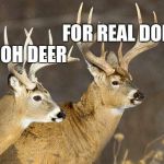 Deer Puns | image tagged in deer puns | made w/ Imgflip meme maker