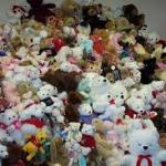 teddy bear hoarding