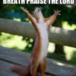 amen squirrel | LET EVERYTHING THAT HAS BREATH PRAISE THE LORD PSALM 150:6 | image tagged in amen squirrel | made w/ Imgflip meme maker