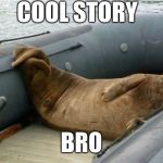 Seal on a rubber boat | COOL STORY BRO | image tagged in seal,cool,story,bro,cool story bro,boring | made w/ Imgflip meme maker