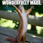 amen squirrel | I PRAISE THEE FOR I AM FEARFULLY AND WONDERFULLY MADE. PSALMS 139:14 | image tagged in amen squirrel | made w/ Imgflip meme maker