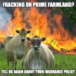 evil cows | FRACKING ON PRIME FARMLAND? TELL US AGAIN ABOUT YOUR INSURANCE POLICY | image tagged in evil cows | made w/ Imgflip meme maker