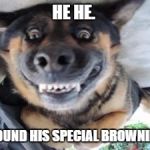 Crazy dog | HE HE. I FOUND HIS SPECIAL BROWNIES. | image tagged in crazy dog | made w/ Imgflip meme maker