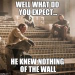 Snow-one wanted that to happen... | WELL WHAT DO YOU EXPECT... HE KNEW NOTHING OF THE WALL | image tagged in game of thrones--the album | made w/ Imgflip meme maker