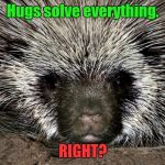 Hugs solve everything | Hugs solve everything. RIGHT? | image tagged in porcupine,hugs | made w/ Imgflip meme maker