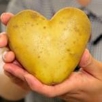 Heart Shaped Potato meme