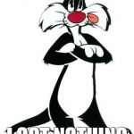 Sylvester the Cat | THUFFERIN THUCCOTASH! I GOT NOTHING | image tagged in sylvester the cat | made w/ Imgflip meme maker