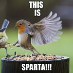Kicking Sparrow | THIS IS SPARTA!!! | image tagged in kicking sparrow | made w/ Imgflip meme maker
