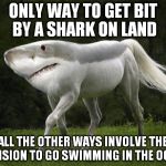 Shark Horse | ONLY WAY TO GET BIT BY A SHARK ON LAND ALL THE OTHER WAYS INVOLVE THE DECISION TO GO SWIMMING IN THE OCEAN | image tagged in shark horse | made w/ Imgflip meme maker