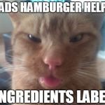 derpcat | READS HAMBURGER HELPER INGREDIENTS LABEL | image tagged in derpcat | made w/ Imgflip meme maker