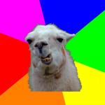 Tech Llama