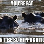 2 hippos | YOU'RE FAT DON'T BE SO HIPPOCRITCAL | image tagged in 2 hippos,puns | made w/ Imgflip meme maker