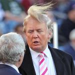 Trump Bad Hair meme