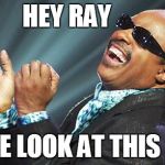 Hey RayCome look at this shit | HEY RAY COME LOOK AT THIS SHIT | image tagged in stevie wonder,hey ray,ray charles,blind,artist,singer | made w/ Imgflip meme maker