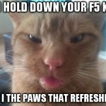 derpcat | IF I HOLD DOWN YOUR F5 KEY AM I THE PAWS THAT REFRESHES? | image tagged in derpcat | made w/ Imgflip meme maker