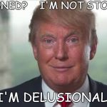 Chump Trump | STONED?    I'M NOT STONED I'M DELUSIONAL! | image tagged in chump trump | made w/ Imgflip meme maker