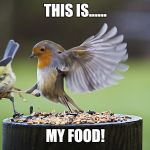 Kicking Sparrow | THIS IS...... MY FOOD! | image tagged in kicking sparrow | made w/ Imgflip meme maker