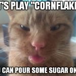 derpcat | LET'S PLAY "CORNFLAKES" YOU CAN POUR SOME SUGAR ON ME | image tagged in derpcat | made w/ Imgflip meme maker