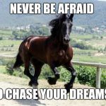 Hot Horse | NEVER BE AFRAID TO CHASE YOUR DREAMS. | image tagged in hot horse | made w/ Imgflip meme maker