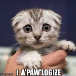 SAD CAT | I  A'PAW'LOGIZE | image tagged in sad cat,puns | made w/ Imgflip meme maker