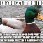 Sometimes it works better than other times, but it works for me. | WHEN YOU GET BRAIN FREEZE PRESS YOUR TONGUE TO YOUR SOFT PALET (ROOF OF YOUR MOUTH). THE HEAT FROM YOUR TONGUE WILL RELIEVE THE BRAIN FREEZE | image tagged in memes,actual advice mallard,shawnljohnson,brain freeze,advice | made w/ Imgflip meme maker