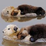 Otter cuteness