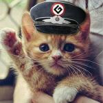 Grammer Kitty meme