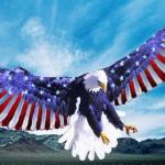 merica eagle