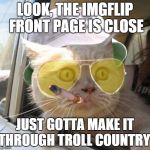 Fear And Loathing Cat | LOOK, THE IMGFLIP FRONT PAGE IS CLOSE JUST GOTTA MAKE IT THROUGH TROLL COUNTRY! | image tagged in memes,fear and loathing cat | made w/ Imgflip meme maker