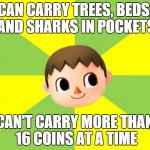 Bad Luck Villager | CAN CARRY TREES, BEDS, AND SHARKS IN POCKETS CAN'T CARRY MORE THAN 16 COINS AT A TIME | image tagged in bad luck villager,animal crossing,memes | made w/ Imgflip meme maker