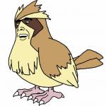 Handsome Pidgey