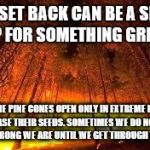 Forest fire | A SET BACK CAN BE A SET UP FOR SOMETHING GREAT SOME PINE CONES OPEN ONLY IN EXTREME HEAT TO RELEASE THEIR SEEDS. SOMETIMES WE DO NOT KNOW HO | image tagged in forest fire | made w/ Imgflip meme maker