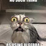 Paranoia Cat | ARE YOU SURE THERE'S NO SUCH THING AS USING ALGEBRA IN LIFE. I WAS SCARED. | image tagged in paranoia cat,math | made w/ Imgflip meme maker