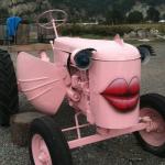 Gaytractor