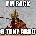 Cockroach King | I'M BACK FOR TONY ABBOTT | image tagged in cockroach king | made w/ Imgflip meme maker