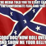 Confederate Flag | SO THE MEDIA TOLD YOU TO START CARING ABOUT THE CONFEDERATE FLAG, AND YOU OBEYED GOOD DOG! NOW ROLL OVER AND SHOW ME YOUR BELLY! | image tagged in confederate flag | made w/ Imgflip meme maker