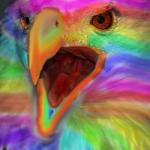 Rainbow Freedom Eagle