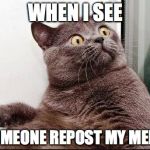 *groans* | WHEN I SEE SOMEONE REPOST MY MEME | image tagged in scared cat,repost,memes | made w/ Imgflip meme maker