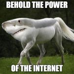 Shark Horse | BEHOLD THE POWER OF THE INTERNET | image tagged in shark horse | made w/ Imgflip meme maker